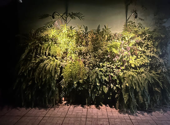 Imagem com Jardim Vertical na parede