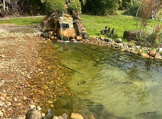 Imagem de um lago ornamental