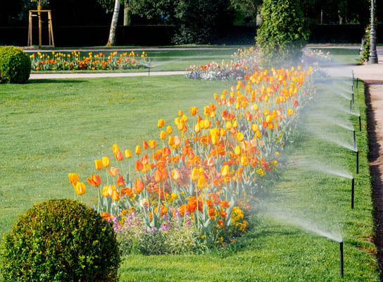 imagem mostrando um Sistema de Irrigação Automatizado em um jardim