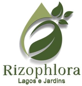 rizoplhora paisagismo logo